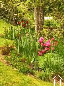 Woonhuis te koop cussy en morvan, bourgogne, cvh5641 Afbeelding - 15