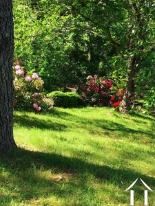 Woonhuis te koop cussy en morvan, bourgogne, cvh5641 Afbeelding - 6