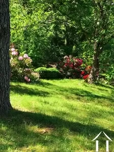 Woonhuis te koop cussy en morvan, bourgogne, cvh5641 Afbeelding - 6