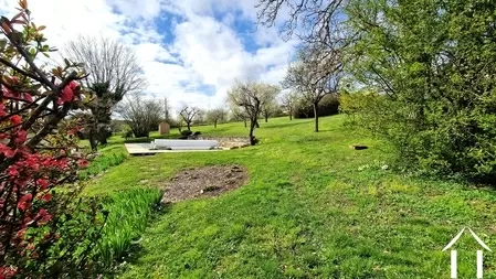 Achtertuin met zwembad