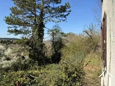 Woonhuis te koop mont et marre, bourgogne, cvh 5658 Afbeelding - 14