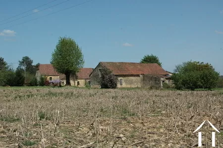 Bezit 1 hectare ++ te koop montignac, aquitanië, GVS3746C Afbeelding - 9