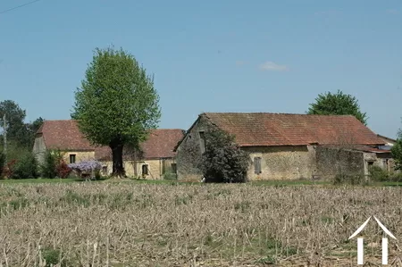 Bezit 1 hectare ++ te koop montignac, aquitanië, GVS3746C Afbeelding - 10