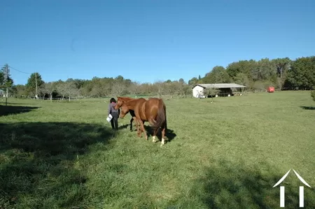 Woonboerderij te koop hautefort, aquitanië, GVS3344C Afbeelding - 8