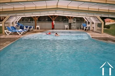 Bezit 1 hectare ++ te koop montignac, aquitanië, GVS4850C Afbeelding - 4