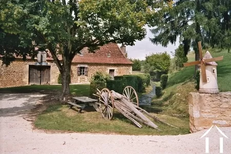 Bezit 1 hectare ++ te koop montignac, aquitanië, GVS4850C Afbeelding - 6