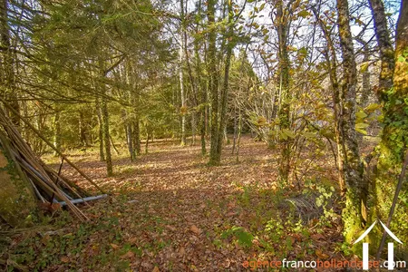 Dorpshuis te koop linards, limousin, Li856 Afbeelding - 74