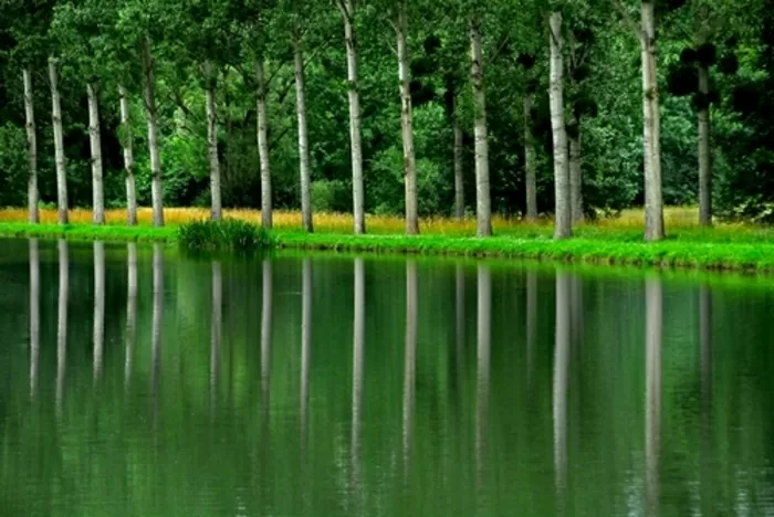 Bourgogne Regio Frankrijk