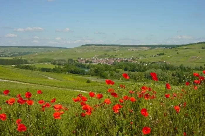 Beautiful countryside