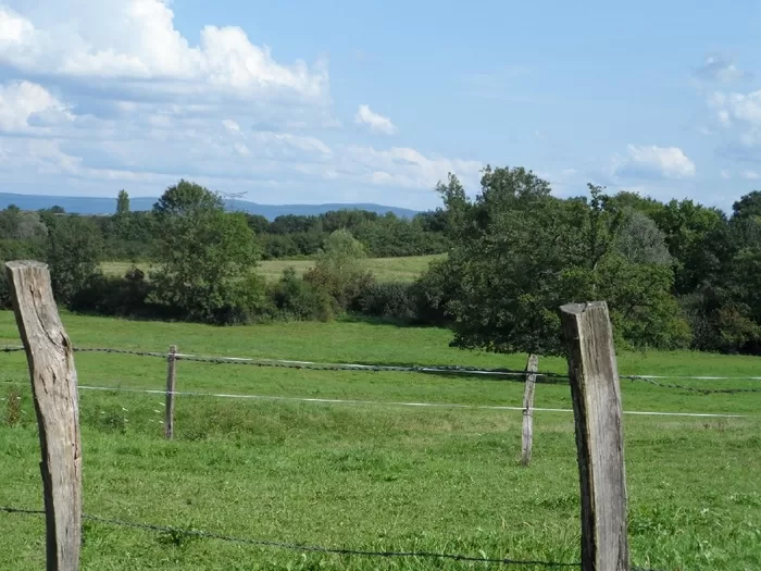 Idyllic countryside