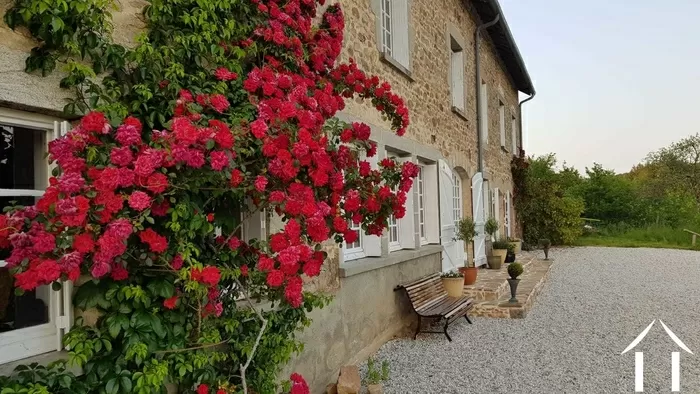 DE DROOM BELEVEN foto-3