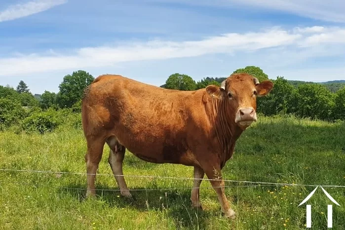 REGIO UITGELICHT foto-5