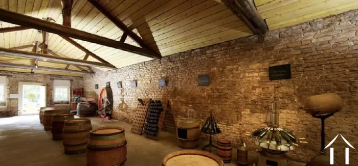 Zomer 2021 editie foto-3