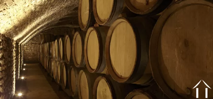 Zomer 2021 editie foto-4