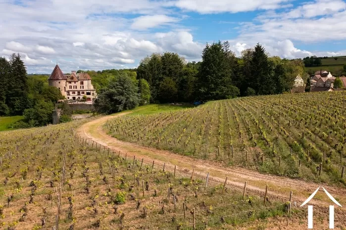 REGIO UITGELICHT foto-3