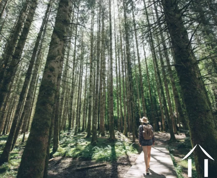 REGIO UITGELICHT foto-4