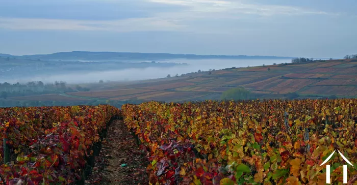 REGIO UITGELICHT foto-5