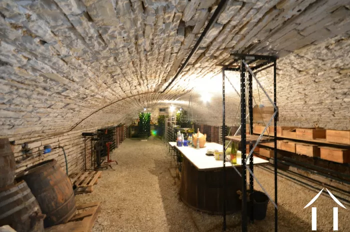 IETS BIJZONDERS  foto-3