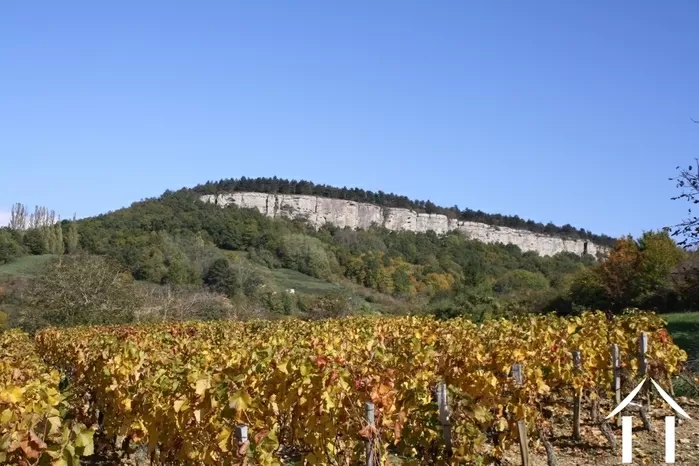 REGIO UITGELICHT foto-2