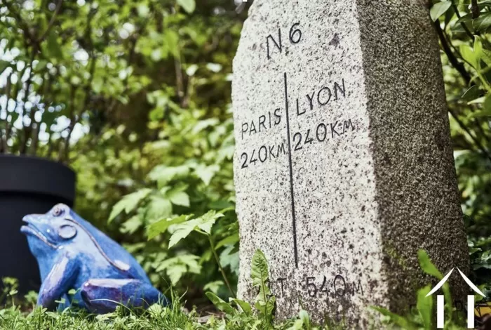 REGIO UITGELICHT foto-1