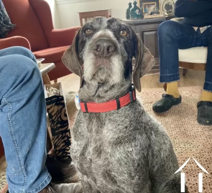 Benjamin Haas ontmoeten foto-4