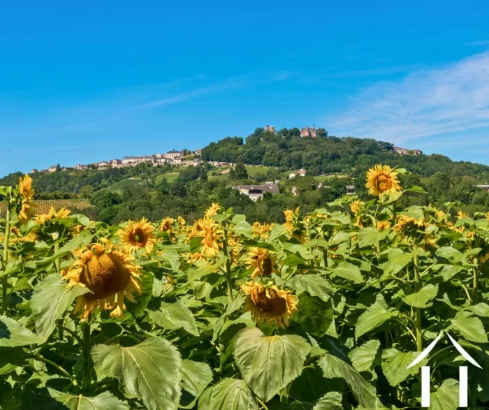 Zomer nieuwsbrief 2025 foto-1